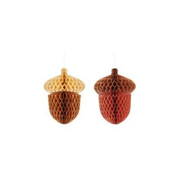 Honeycomb herfst eikels