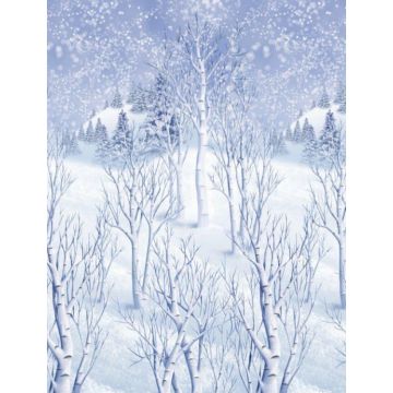 Scene Setter Winter Wonderland
