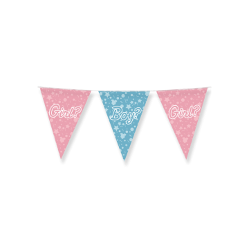 Vlaggenlijn Gender Reveal
